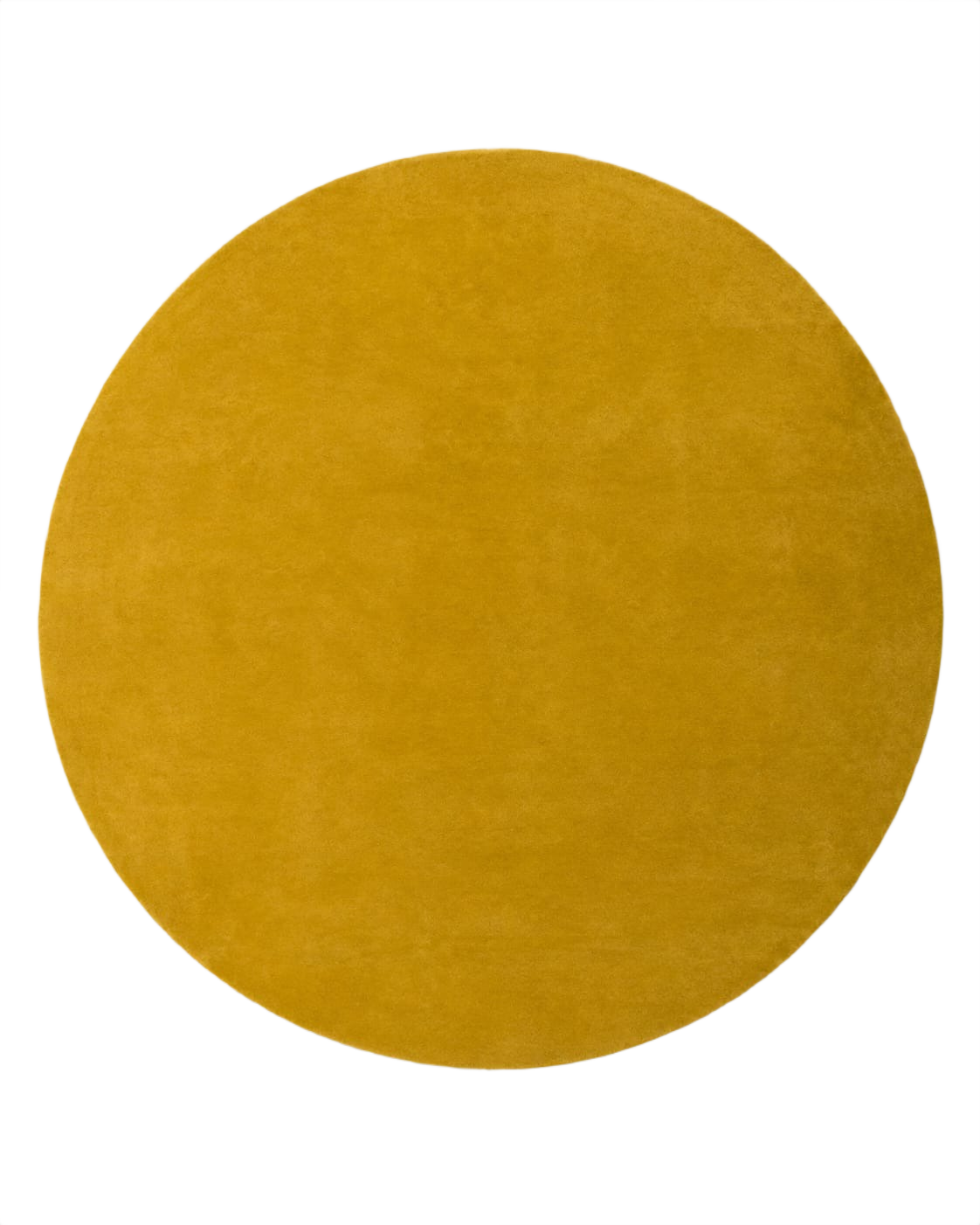 Rug Studio Carpet for Hall